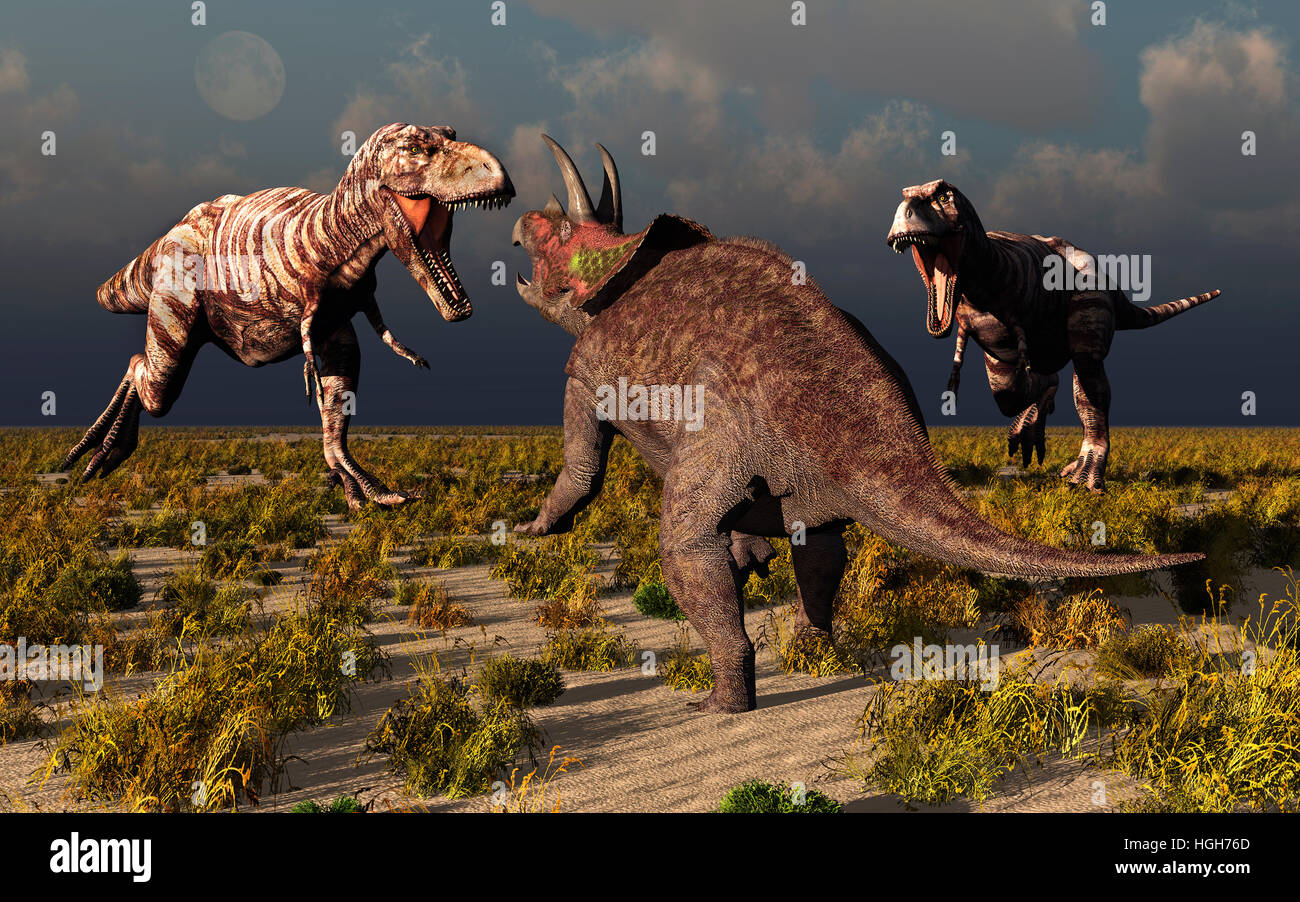 A Pair Of Carnivorous Tyrannosaurus Rex Dinosaurs , Attacking A Lone Herbivore Triceratops. Stock Photo