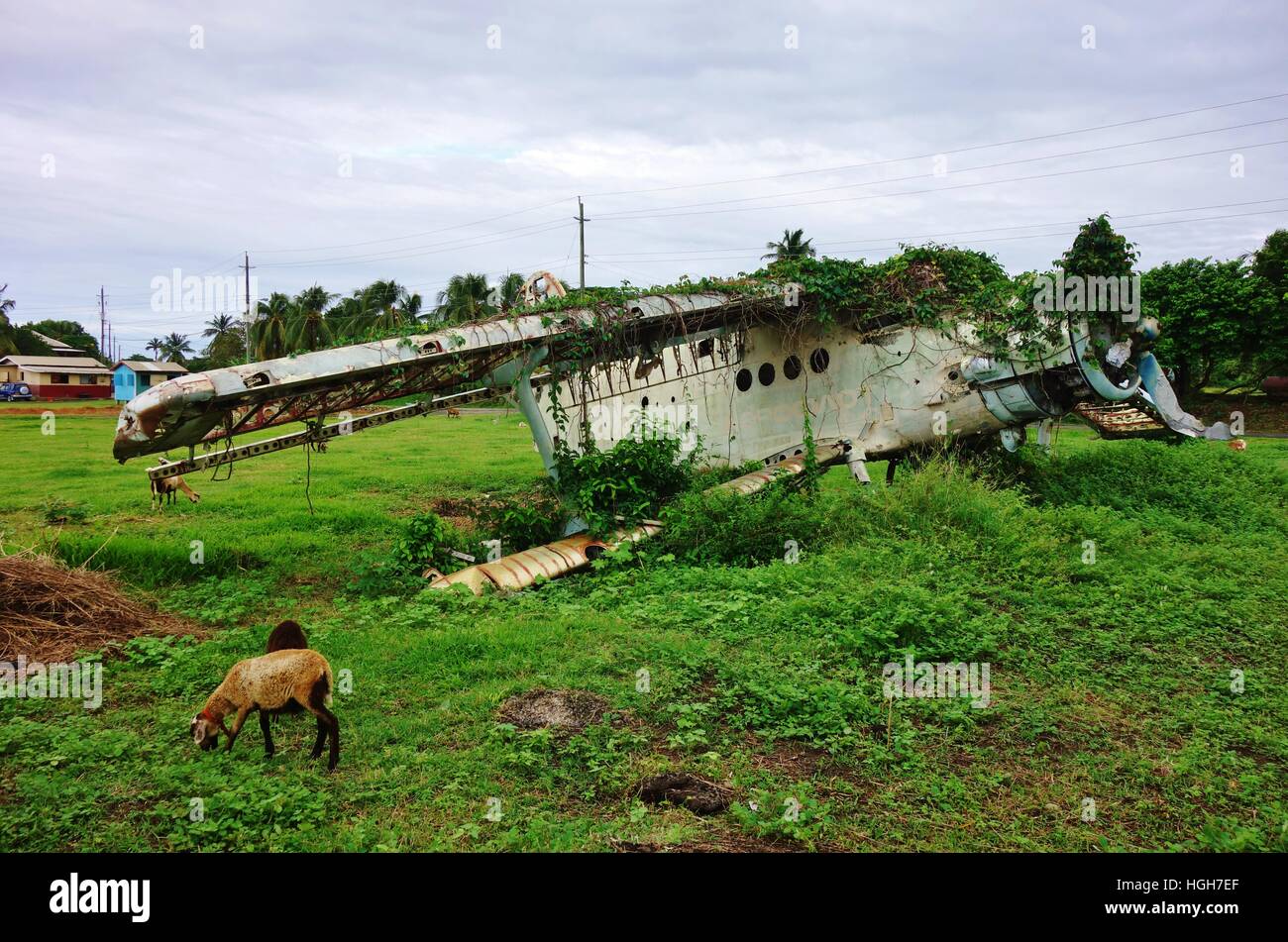 The Pearls Airport in Grenville, Grenada, is now abandoned grazing land with Cuban and Soviet airplane wrecks Stock Photo