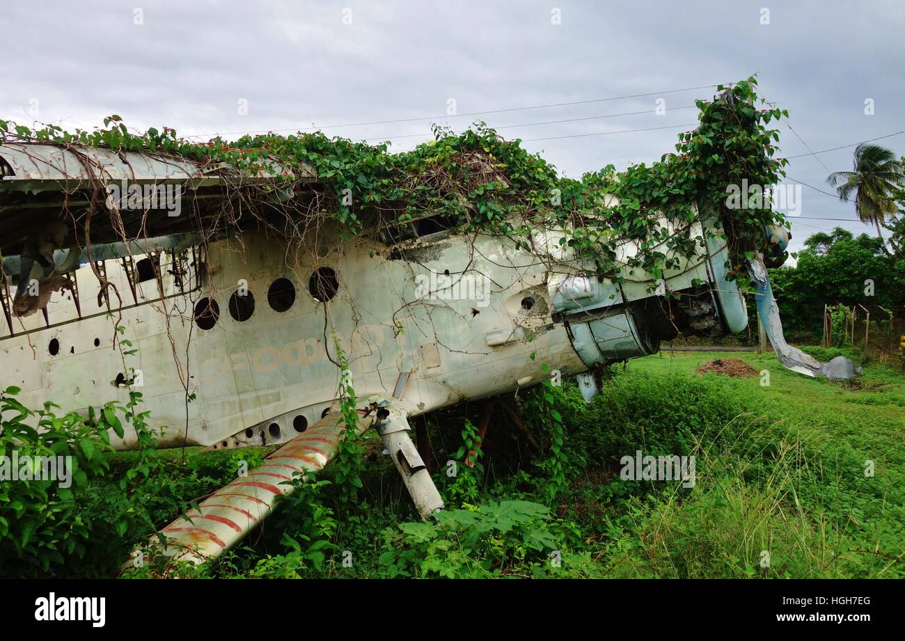 The Pearls Airport in Grenville, Grenada, is now abandoned grazing land with Cuban and Soviet airplane wrecks Stock Photo