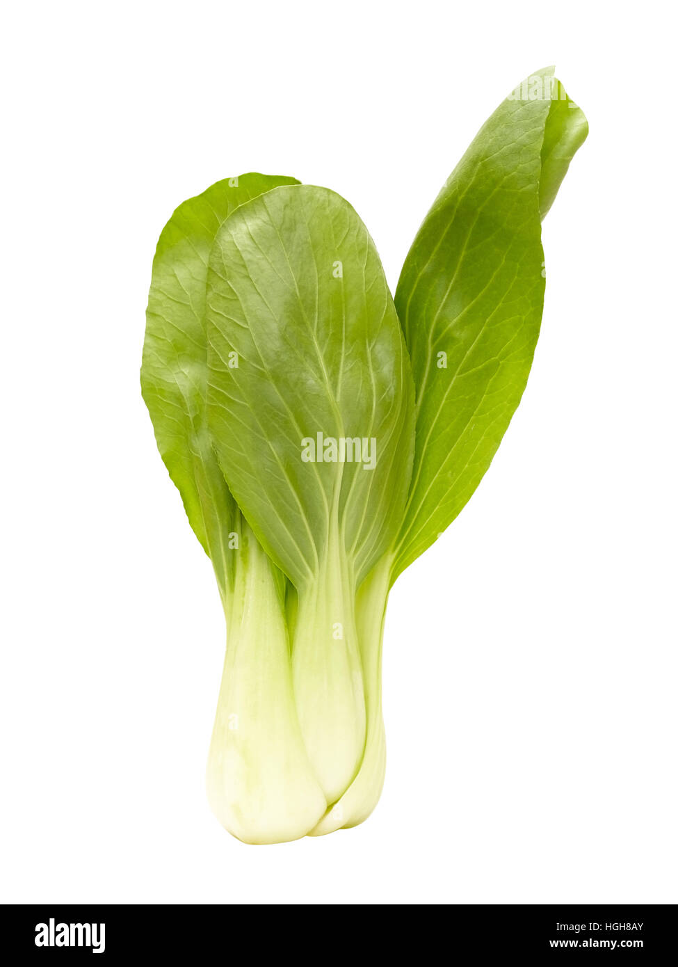 Pak choi hi-res stock photography and images - Alamy