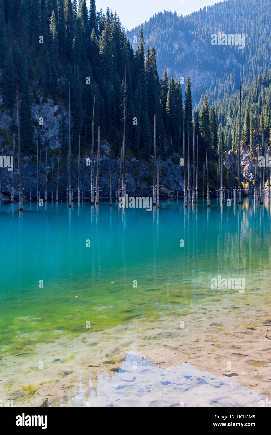 Kaindy Lake in Kazakhstan known also as Birch Tree Lake or Underwater forest. Stock Photo