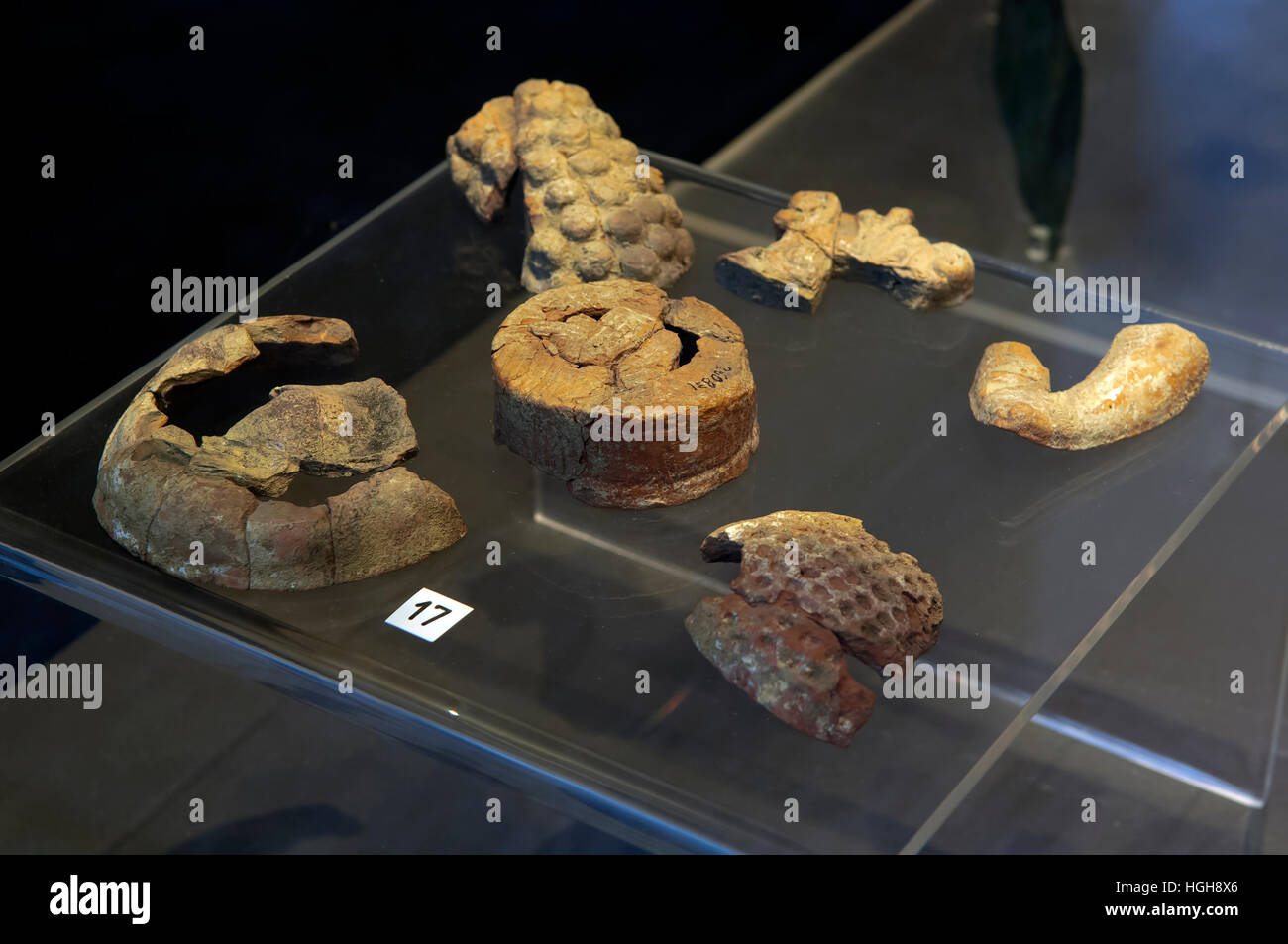 museum display case, archaeological finds National Museum of Archaeology of Grumento, Basilicata, Italy Stock Photo
