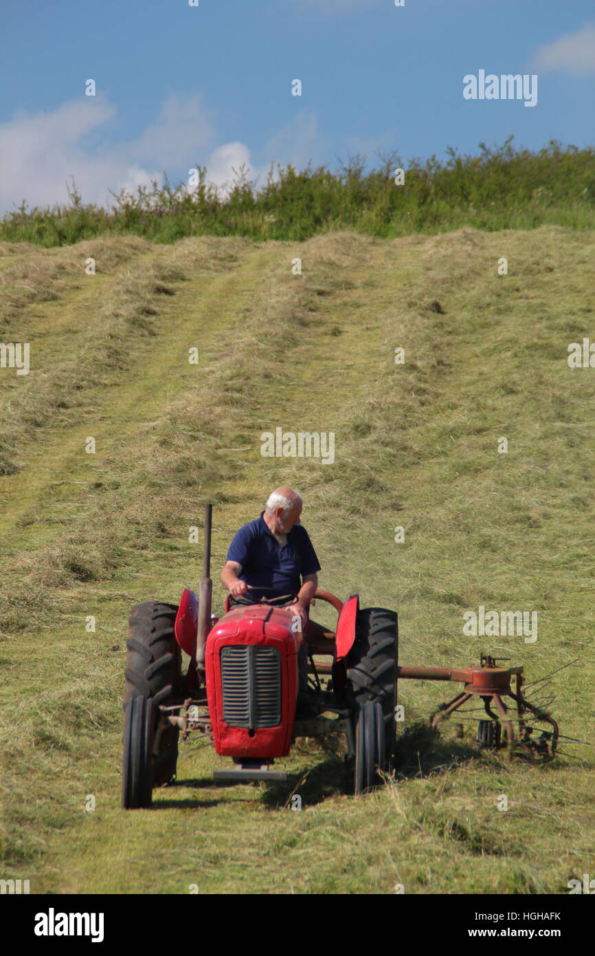 Farmer in a field on a vintage Massey Ferguson tractor turning grass to