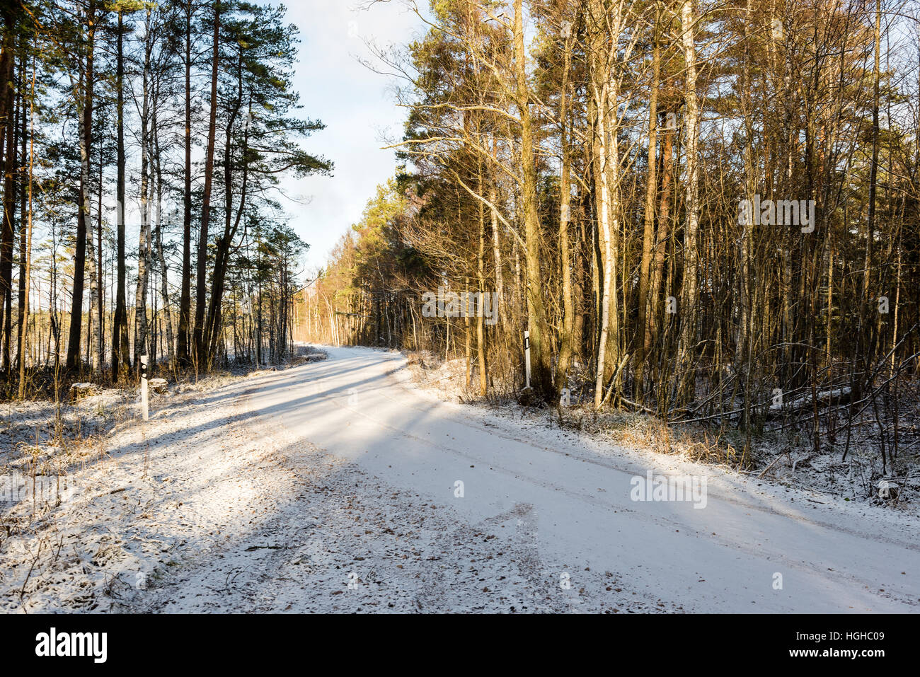 car tire tracks on winter road in deep snow in lonely forest Stock ...