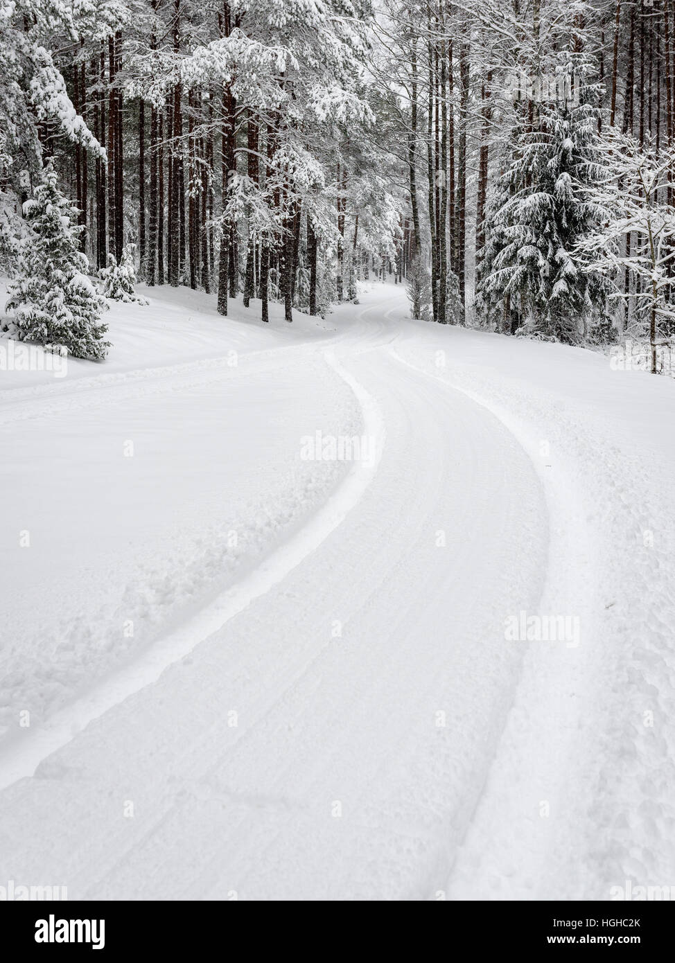 car tire tracks on winter road in deep snow in lonely forest Stock ...