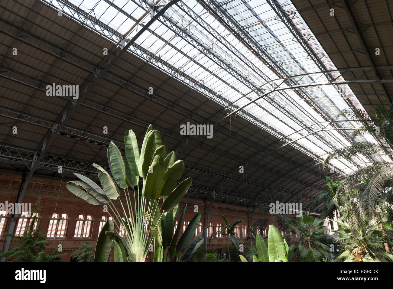 Madrid, Spain: Tropical garden in the plaza of the Madrid Atocha Railway Station. Stock Photo
