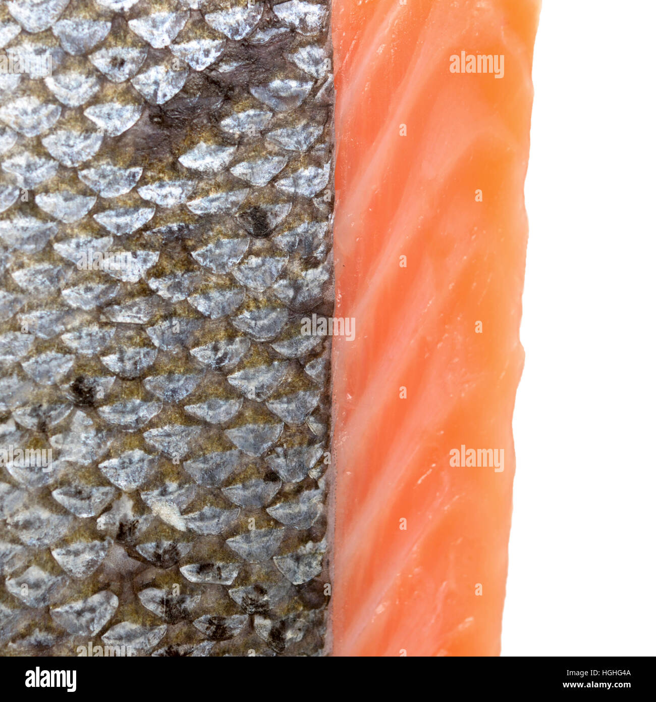 salmon fish scales on white Stock Photo Alamy