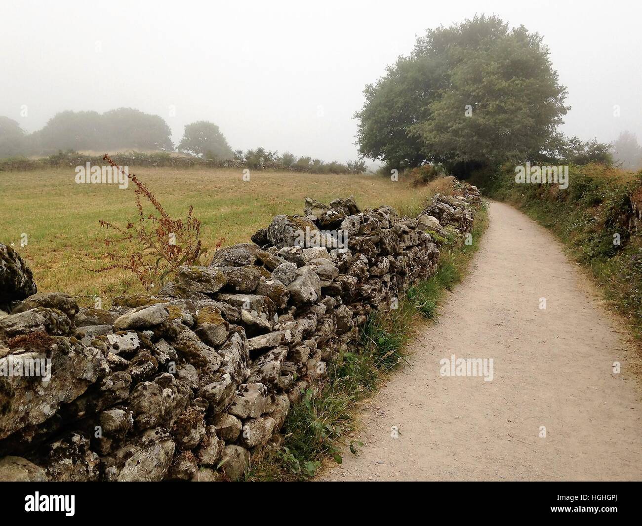 Solitude along a winding path on the Camino Frances on a foggy summer morning in northern Spain on the way to Santiago. Stock Photo