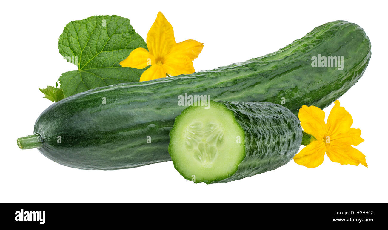 cucumber isolated on white background Stock Photo - Alamy