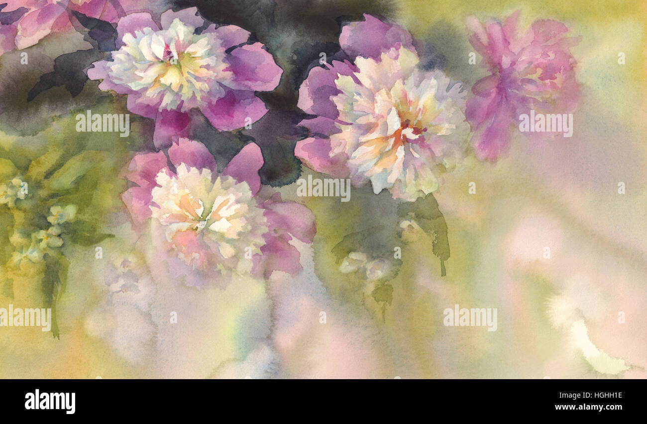 bouquet of pink and white peonies watercolor Stock Photo - Alamy