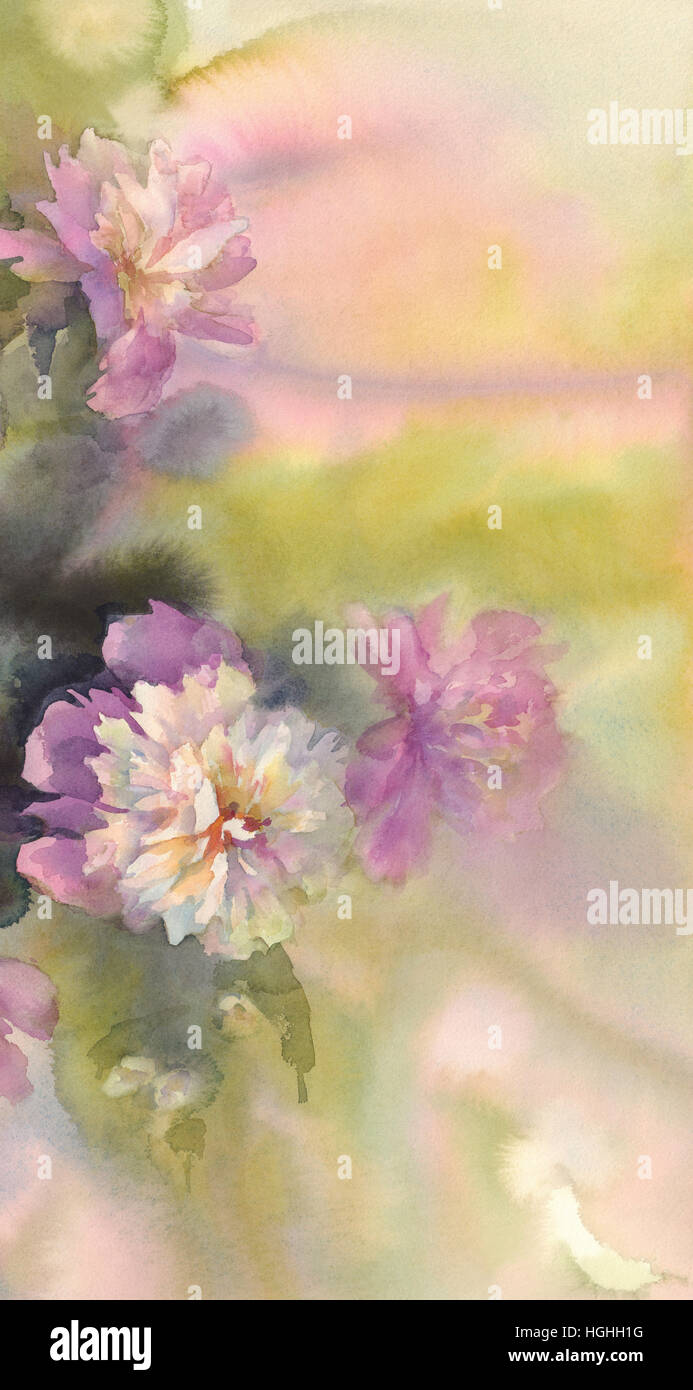 bouquet of pink and white peonies watercolor Stock Photo - Alamy