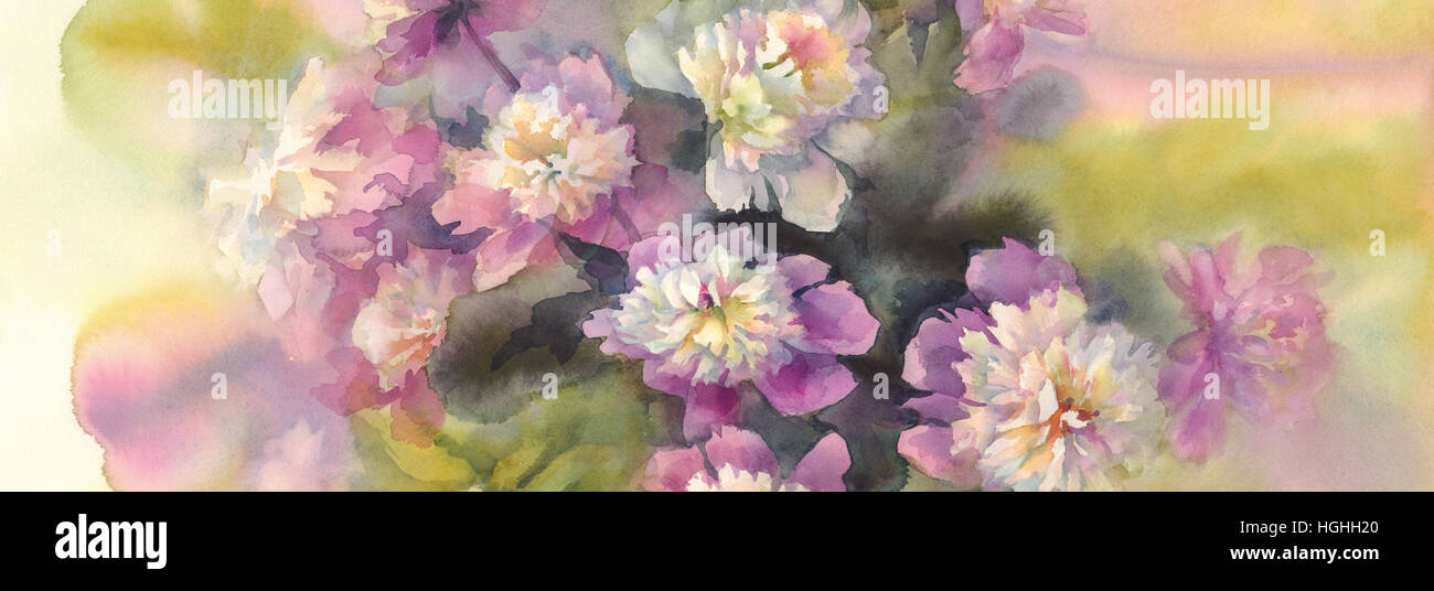 bouquet of pink and white peonies watercolor Stock Photo - Alamy