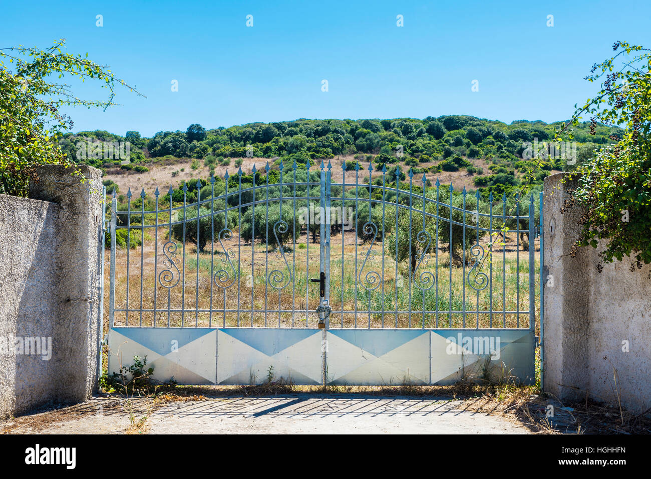 Closed Entrance Of A Farm Dedicated To Growing Olives In Sardinia Closed entrance of a farm dedicated to growing olives in sardinia