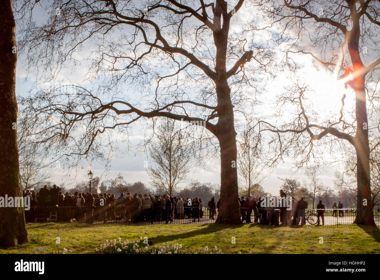 Speakers Corner in Hyde Park Stock Photo Alamy