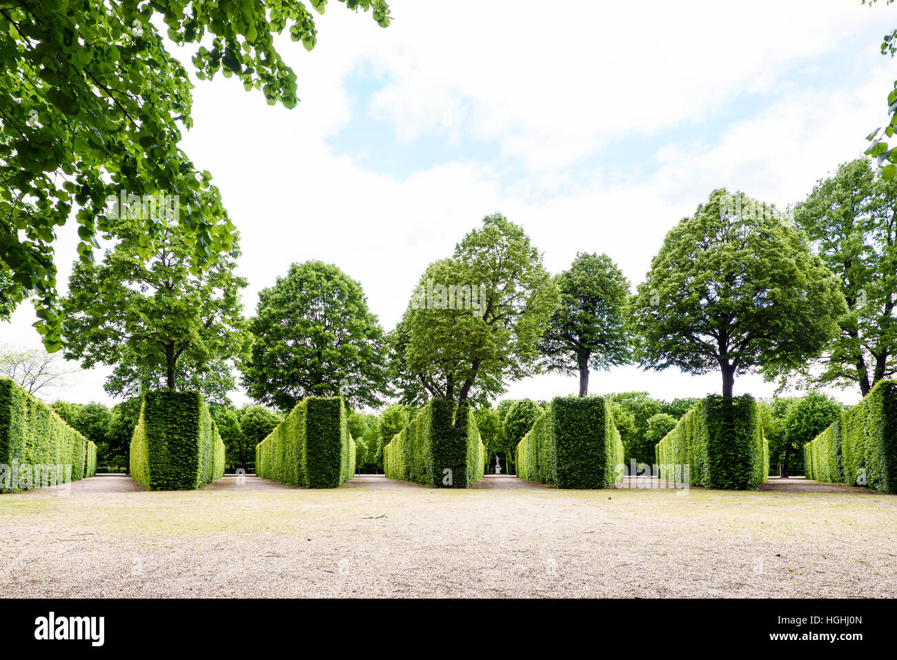Green labyrinth at schonbrunn garden, the maze at schloss palace