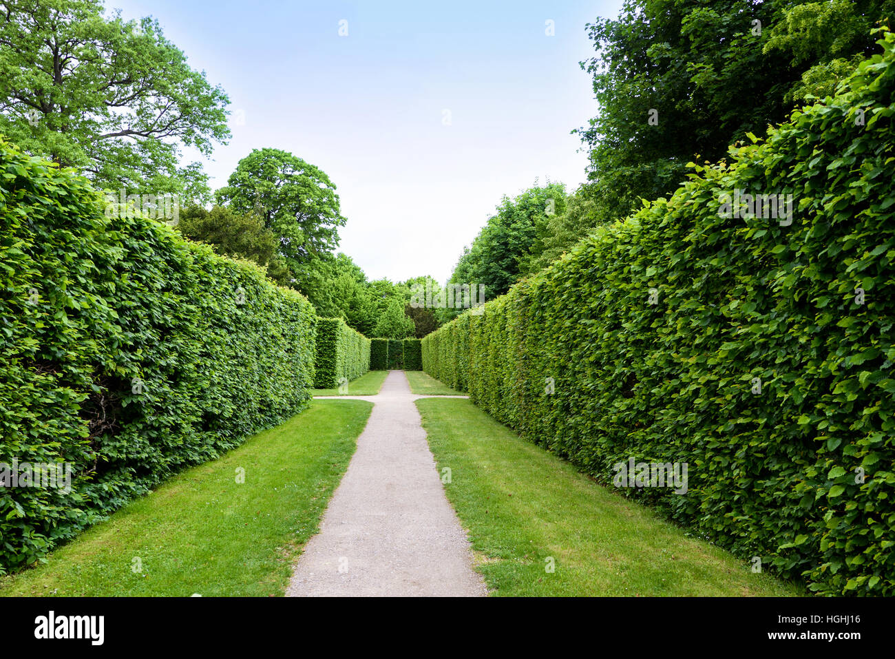 Green labyrinth at schonbrunn garden, the maze at schloss palace