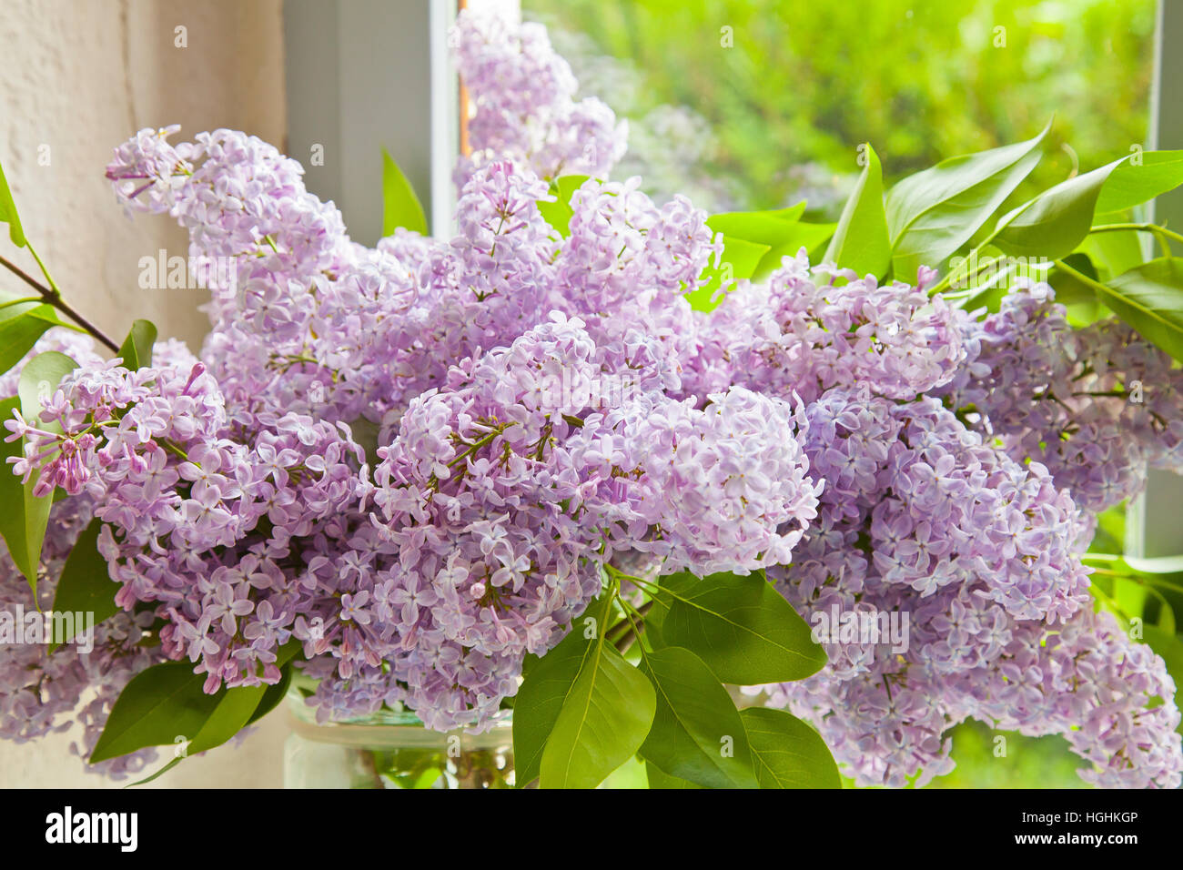 Lilac bouquet 'Syringa vulgaris' in a house (Europe, France) Stock Photo
