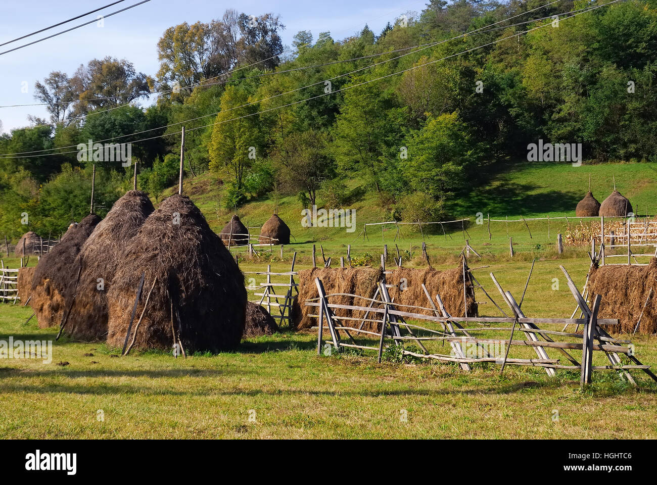 Maramures, an isolated Carpathian region of Romania. Sheaves of hay and ...