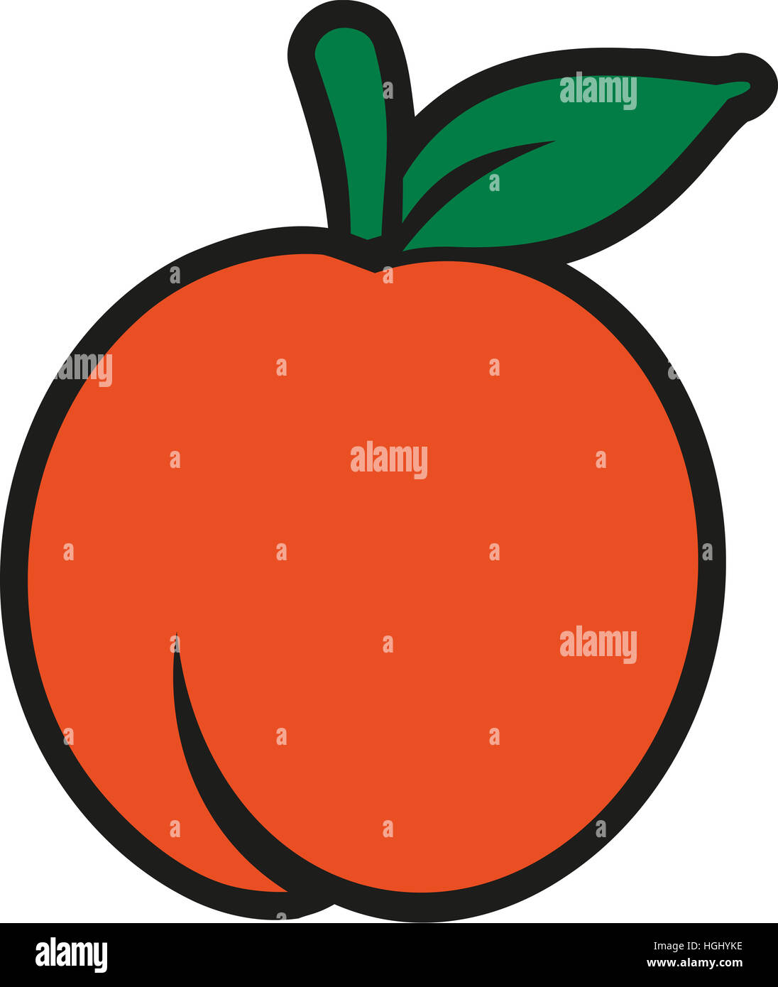 Nectarine Orange fruit Stock Photo Alamy