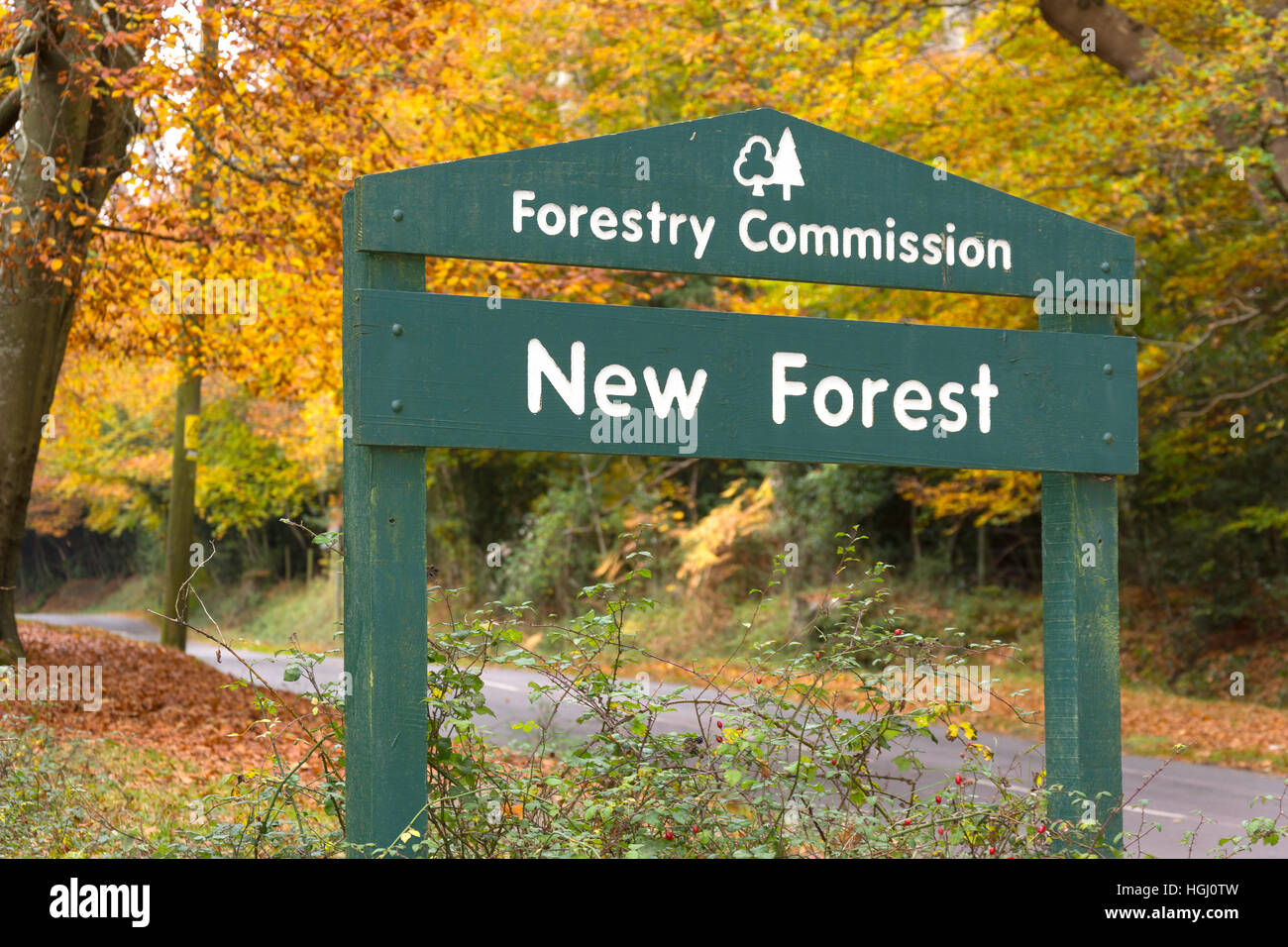 New Forest National Park sign at Swan Green, Lyndhurst, Hampshire