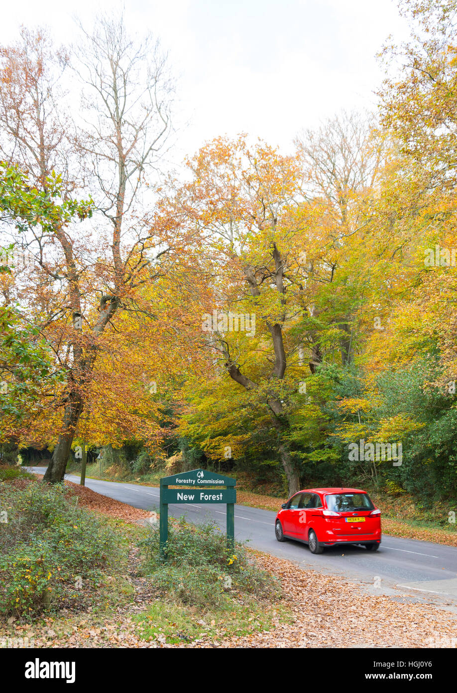 Car passing New Forest National Park sign at Swan Green, Lyndhurst, Hampshire, England, United Kingdom Stock Photo