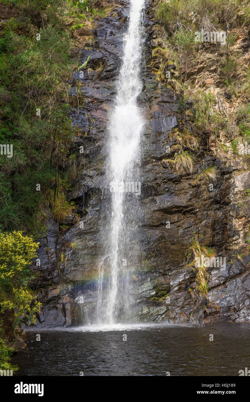 Waterfall Gully located in Cleland Conservation Park Adelaide, South Australia Stock Photo Alamy