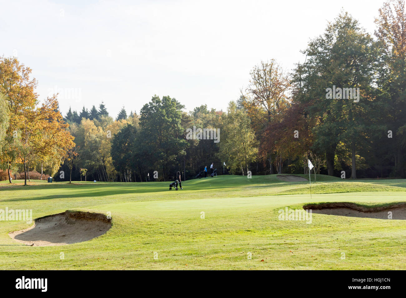 Green on golf course at Foxhills Club & Resort, Stonehill Road