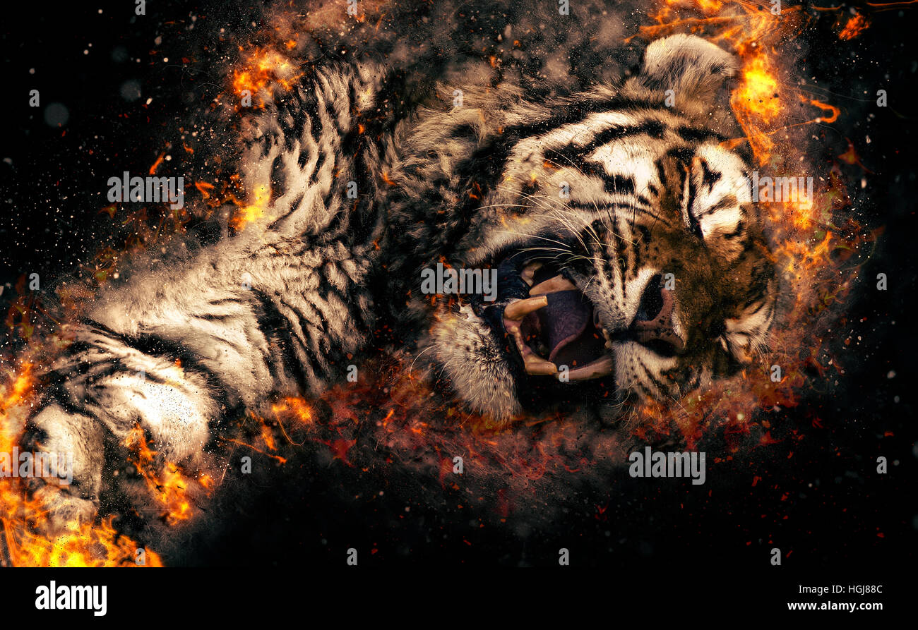 Asian tiger, fire illustration. Stock Photo