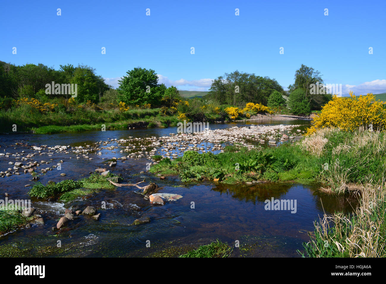 River Breamish, Ingram Valley, Northumberland, England Stock Photo