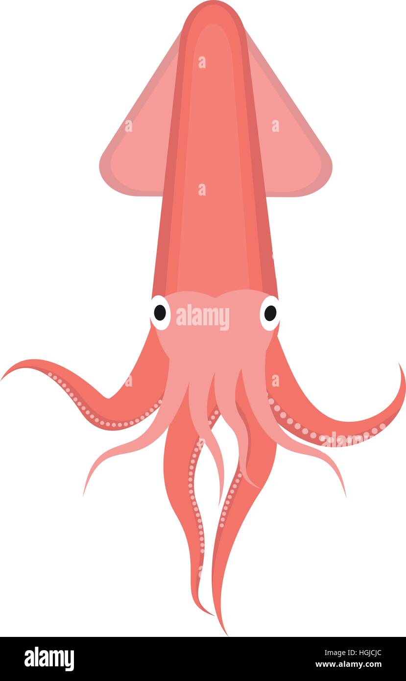 Squid icon logo element. Flat style, isolated on white background. Vector illustration, clip art. Stock Vector