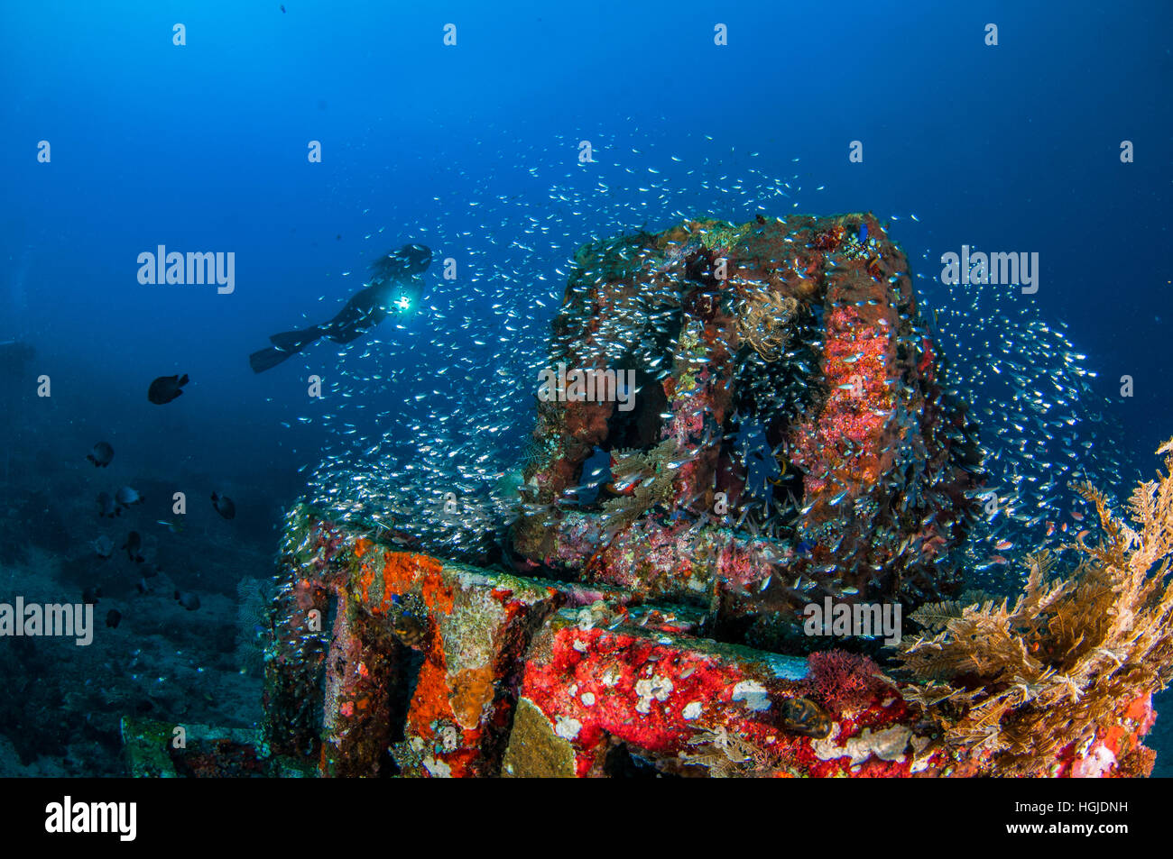 Wideangle coral reef view with diver, Bali, Indonesia Stock Photo
