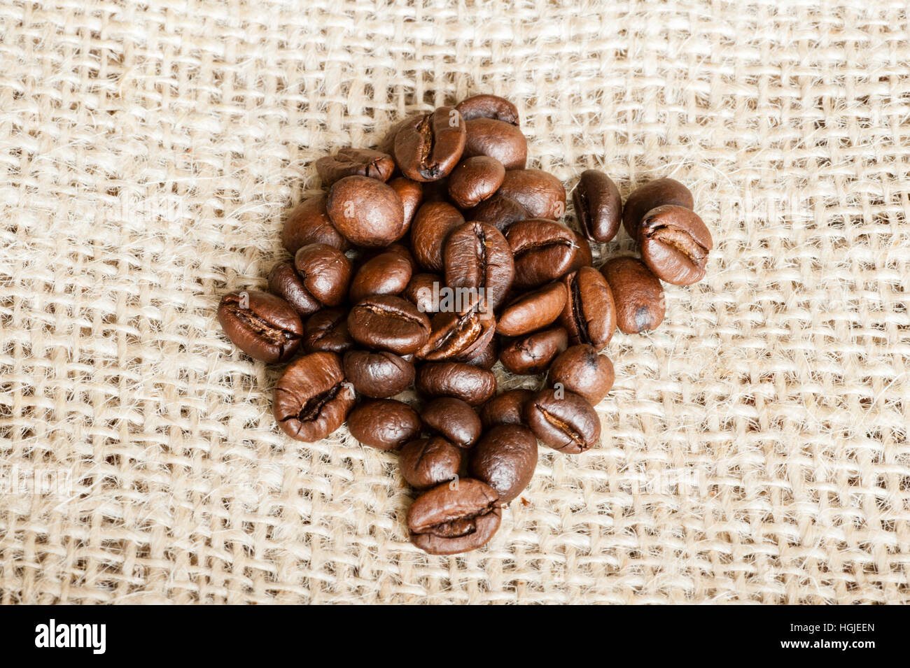 Whole coffee beans piled on a Hessian sack with copy space. Stock Photo