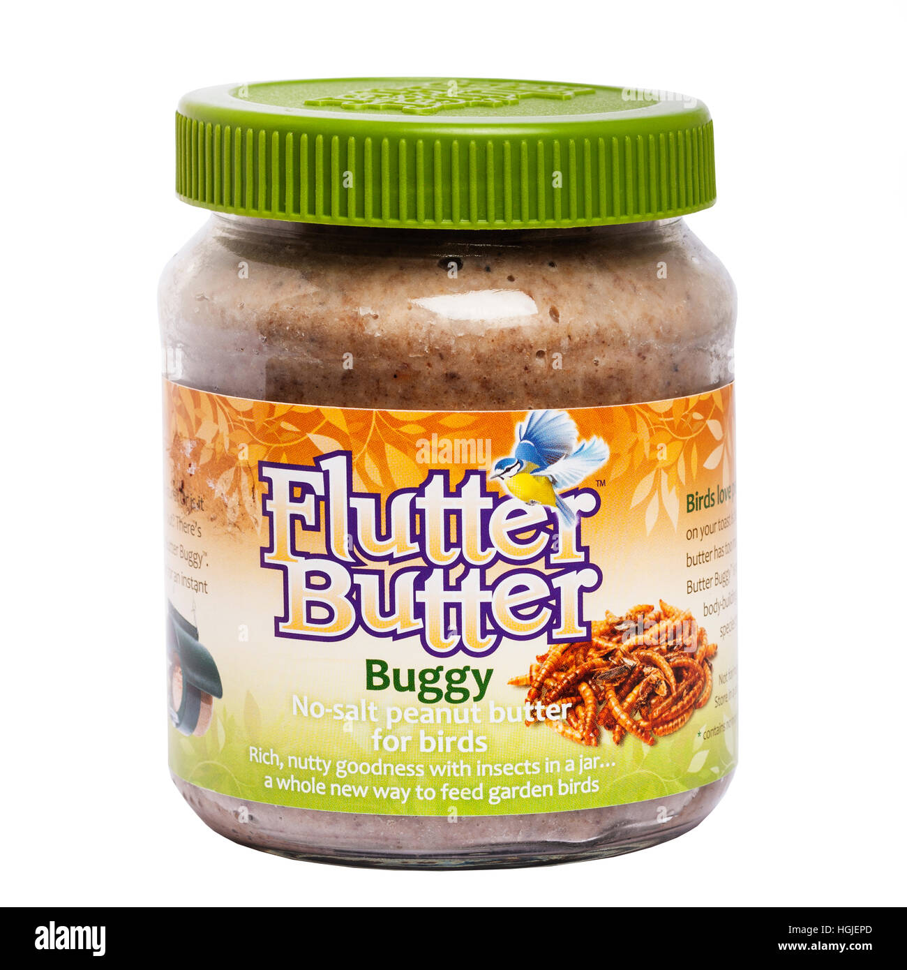 A jar of peanut butter for feeding garden birds on a white background Stock Photo