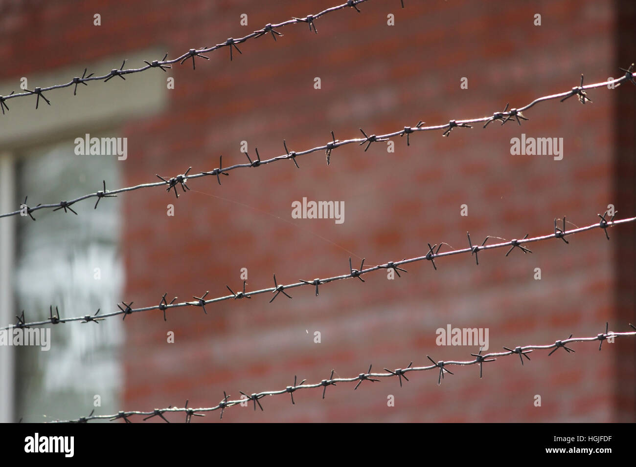 Barbed wire on a background of red brick wall Stock Photo - Alamy