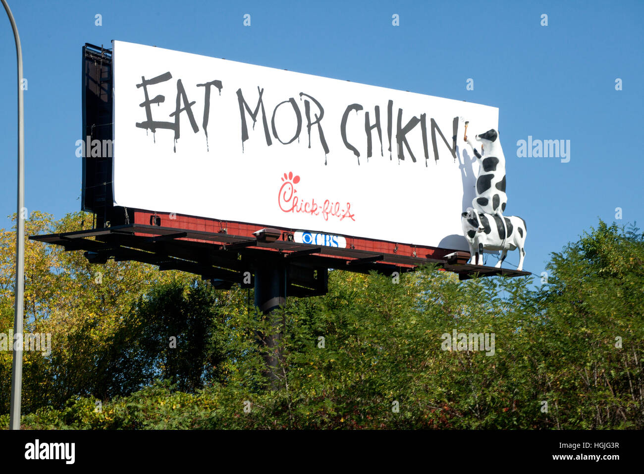 Tongue in cheek billboard advertisement for the chicken industry to eat more chicken rather than beef. St Paul Minnesota MN USA Stock Photo