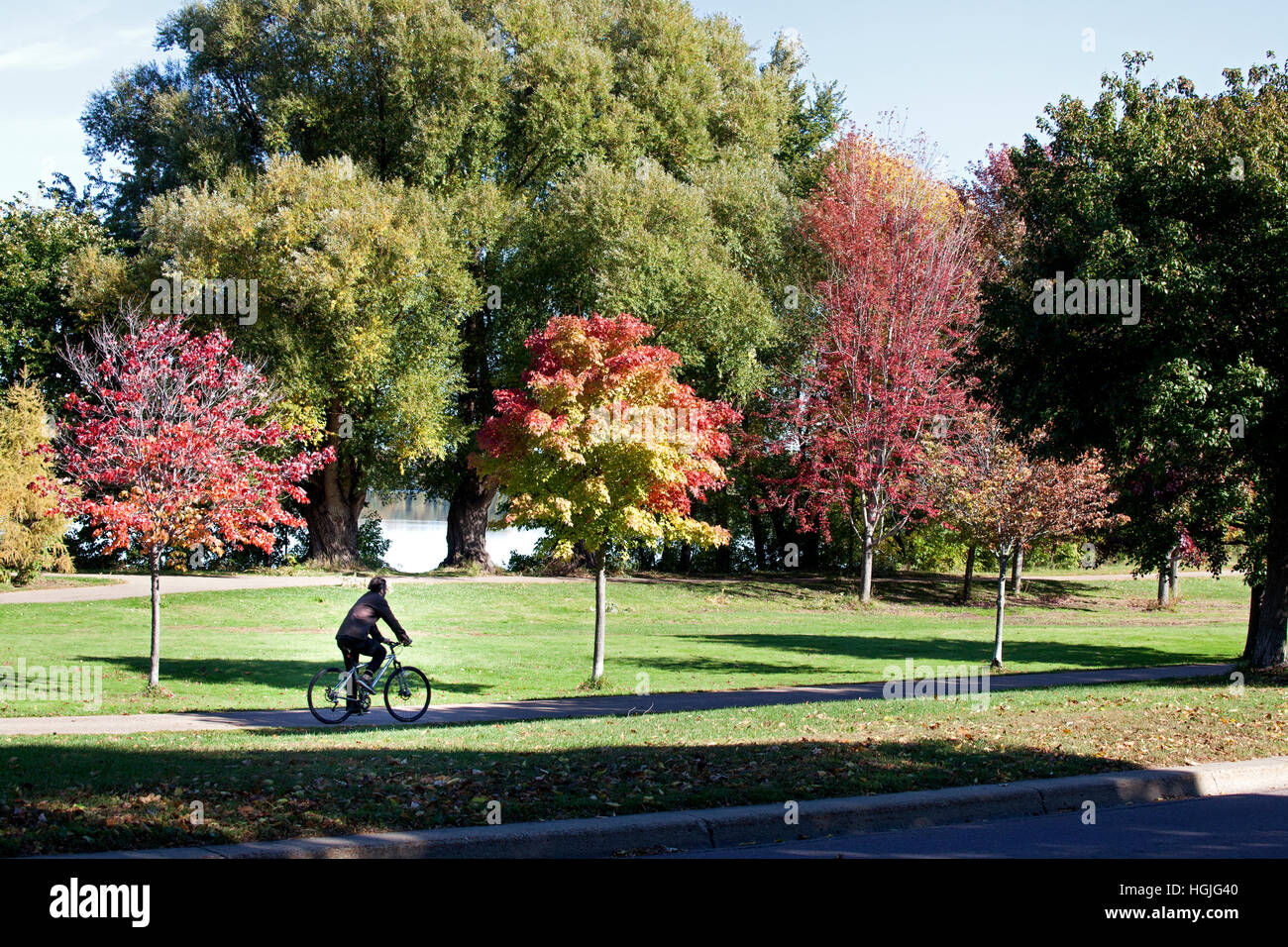 Lone bicycler peddling along bicycle path around Lake Nokomis touched with autumn beauty. Minneapolis Minnesota MN USA Stock Photo