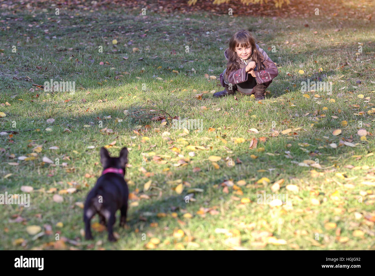 girl playing with her dog in the park Stock Photo - Alamy