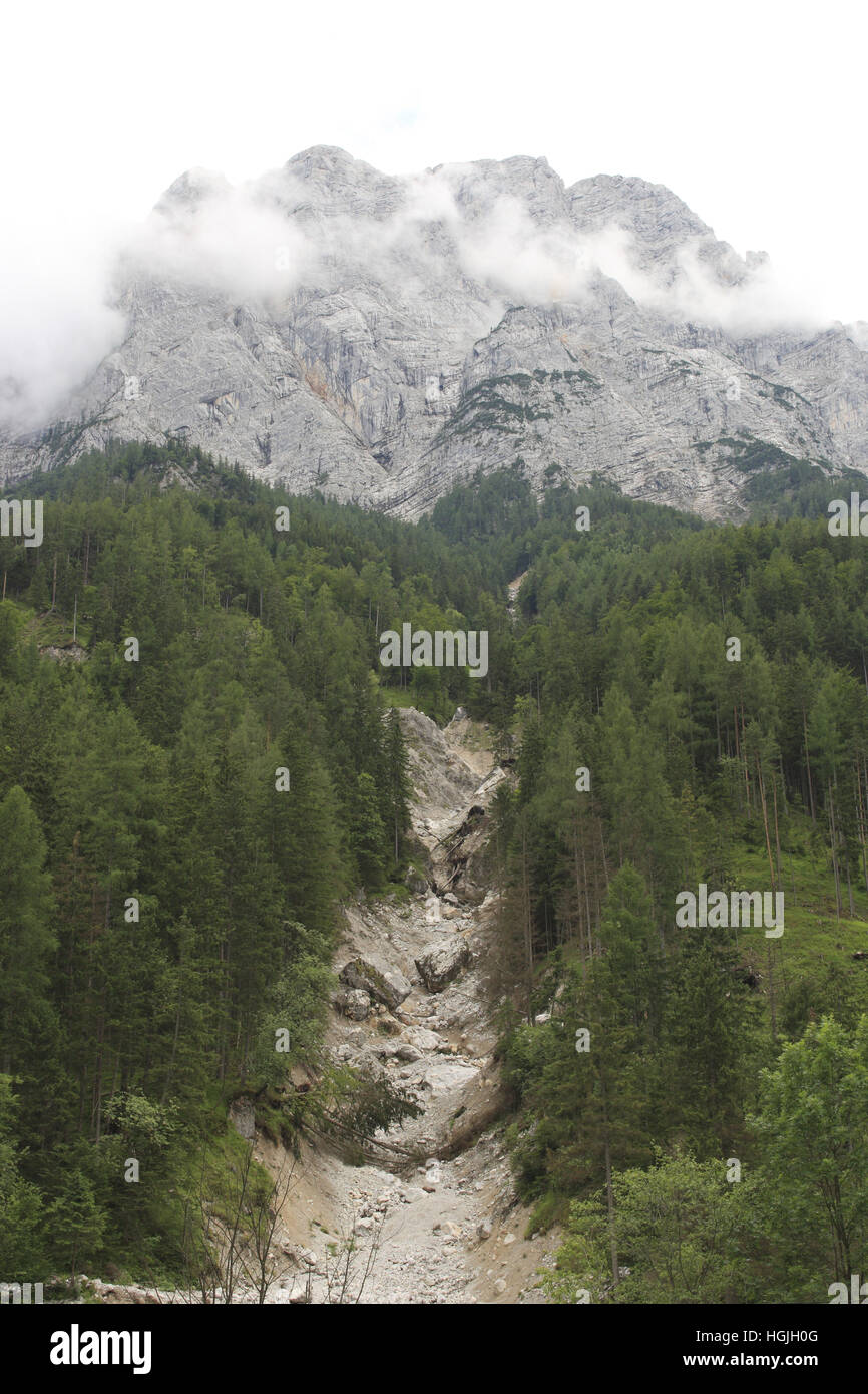 Forest aisle, Mudslide, Gesaeuse National Park, Styria, Austria Stock