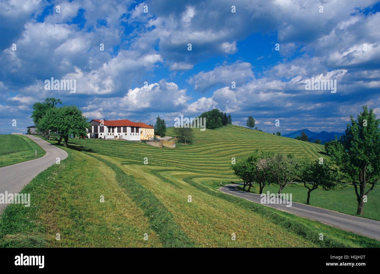 Farm and Meadow, St. Georgen, Lower Austria, Austria Stock Photo