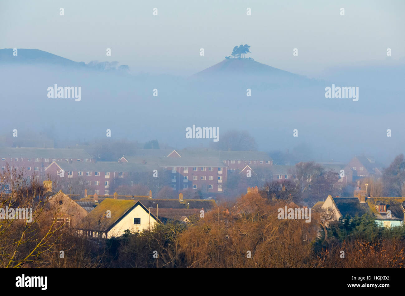 Bridport, Dorset, UK. 23rd Jan, 2017. UK Weather. The peak of Colmers