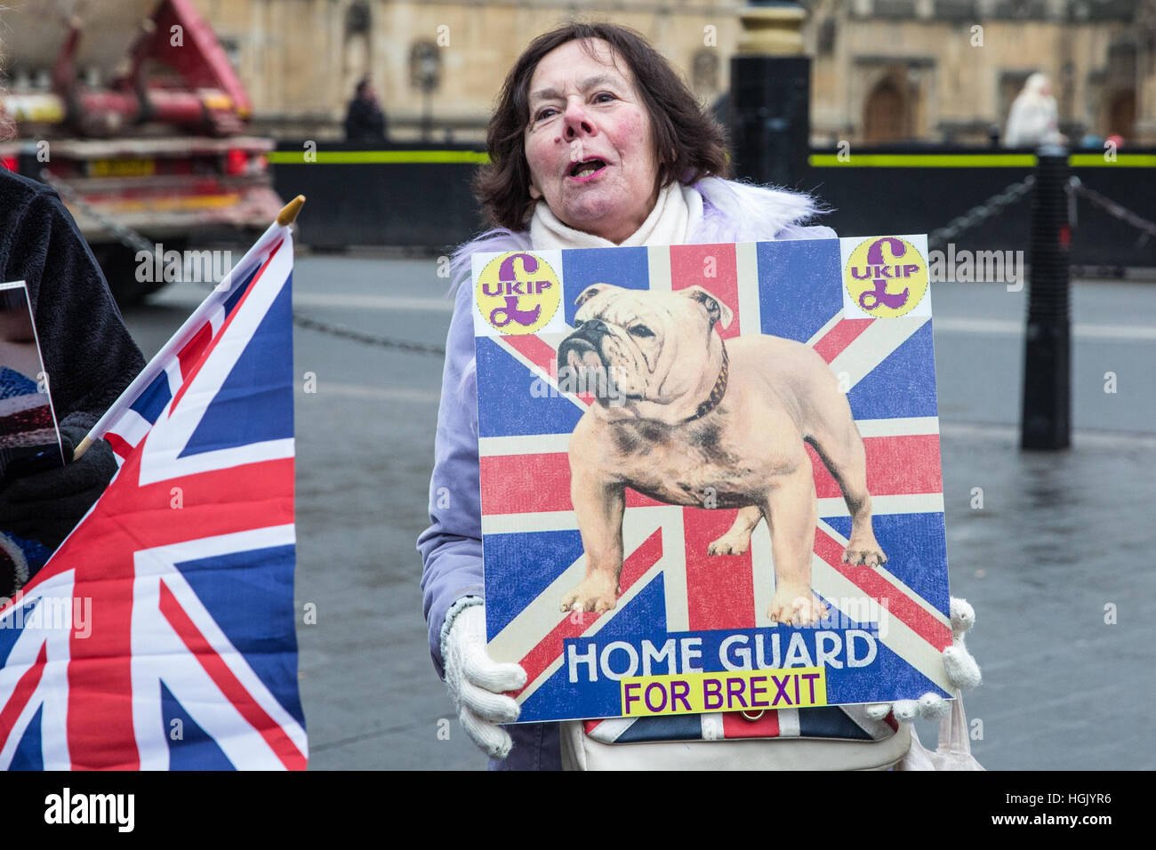 London, UK. 23rd January, 2017. Pro-Brexit campaigners attend a 'Brexit Peaceful Loud and Proud' rally organised by UKIP outside Parliament. Campaigners intend to ensure that the EU Referendum vote is implemented. Credit: Mark Kerrison/Alamy Live News Stock Photo