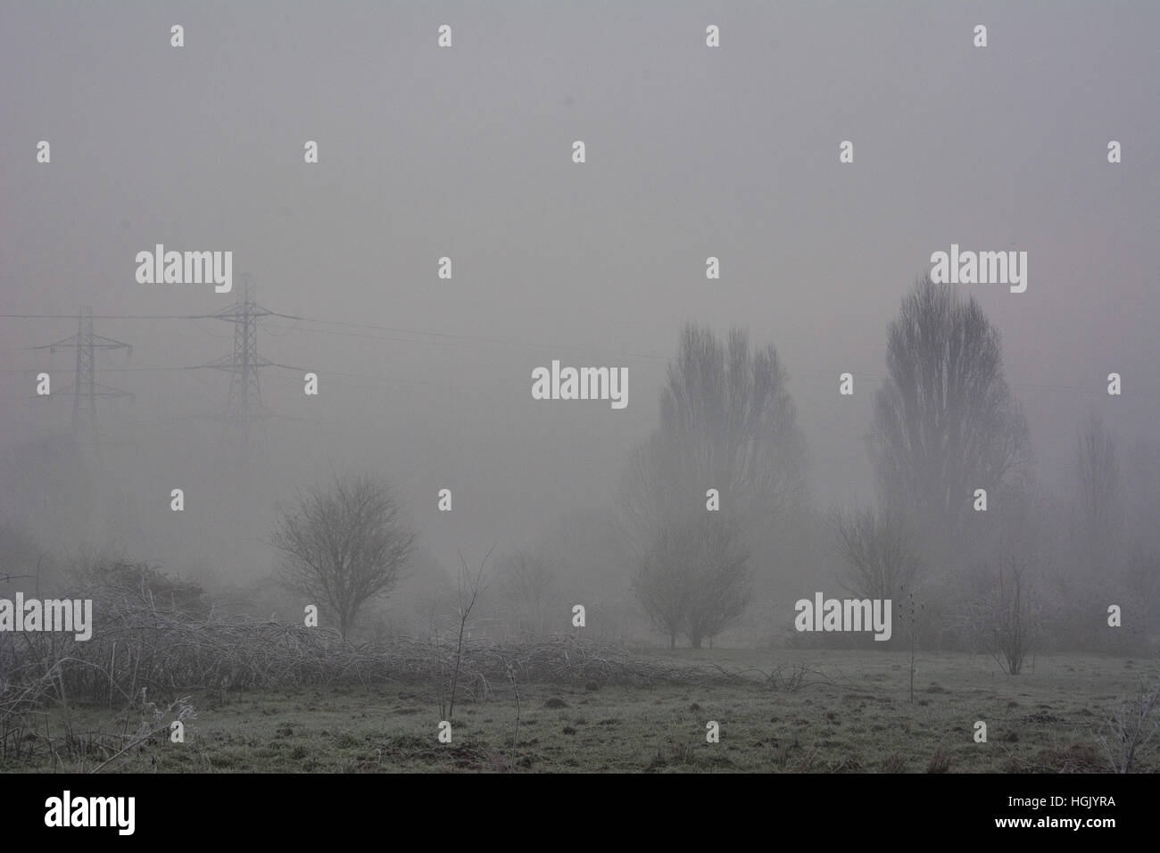 Tottenham Marshes, London, UK. 23rd Jan, 2017. Dense freezing fog descends on Tottenham Marshes in London, making for an etherial landscape. Credit: Patricia Phillips/ Alamy Live News Stock Photo