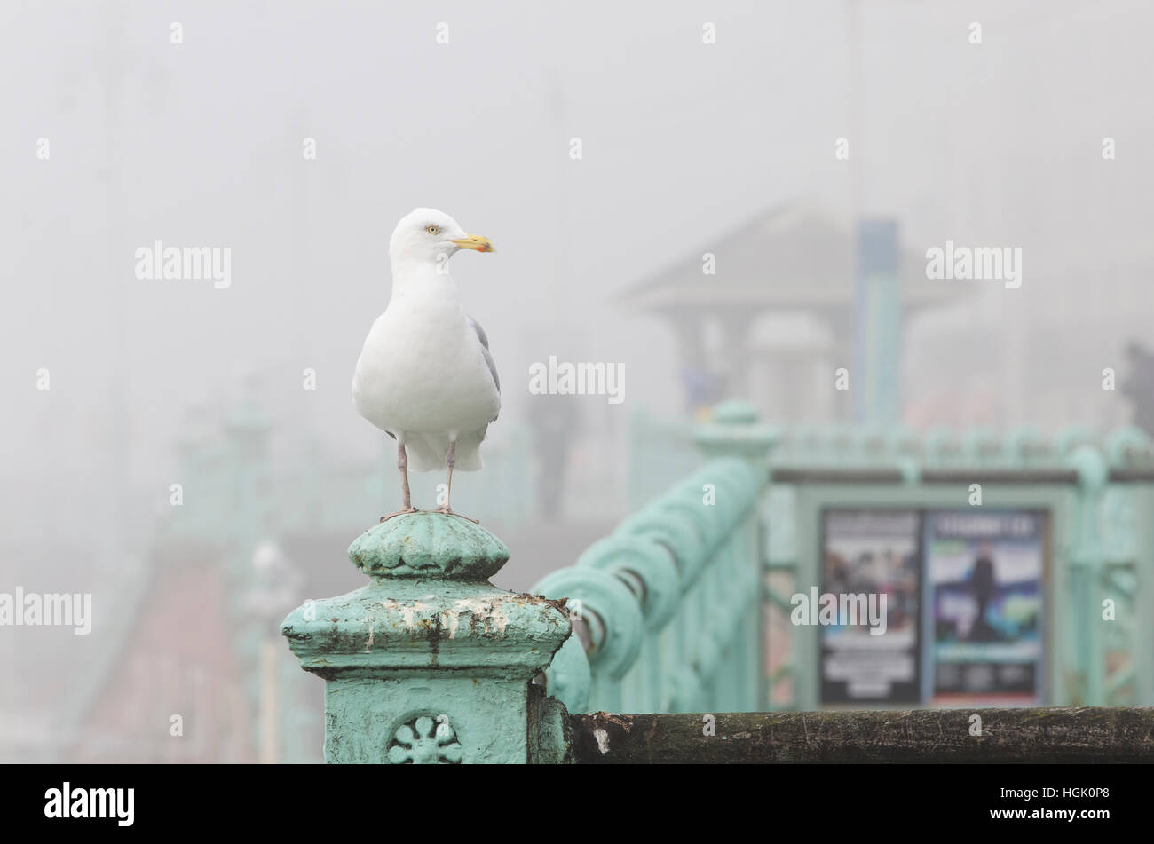 Brighton, East Sussex, UK. 23rd January 2017. UK Weather. Freezing fog and extremely poor visibility persists throughout the day on Brighton seafront. Poor visibility has resulted in hundreds of flight delays and cancellations at London’s airports as dense fog covers much of southern England. Credit: Francesca Moore/Alamy Live News Stock Photo