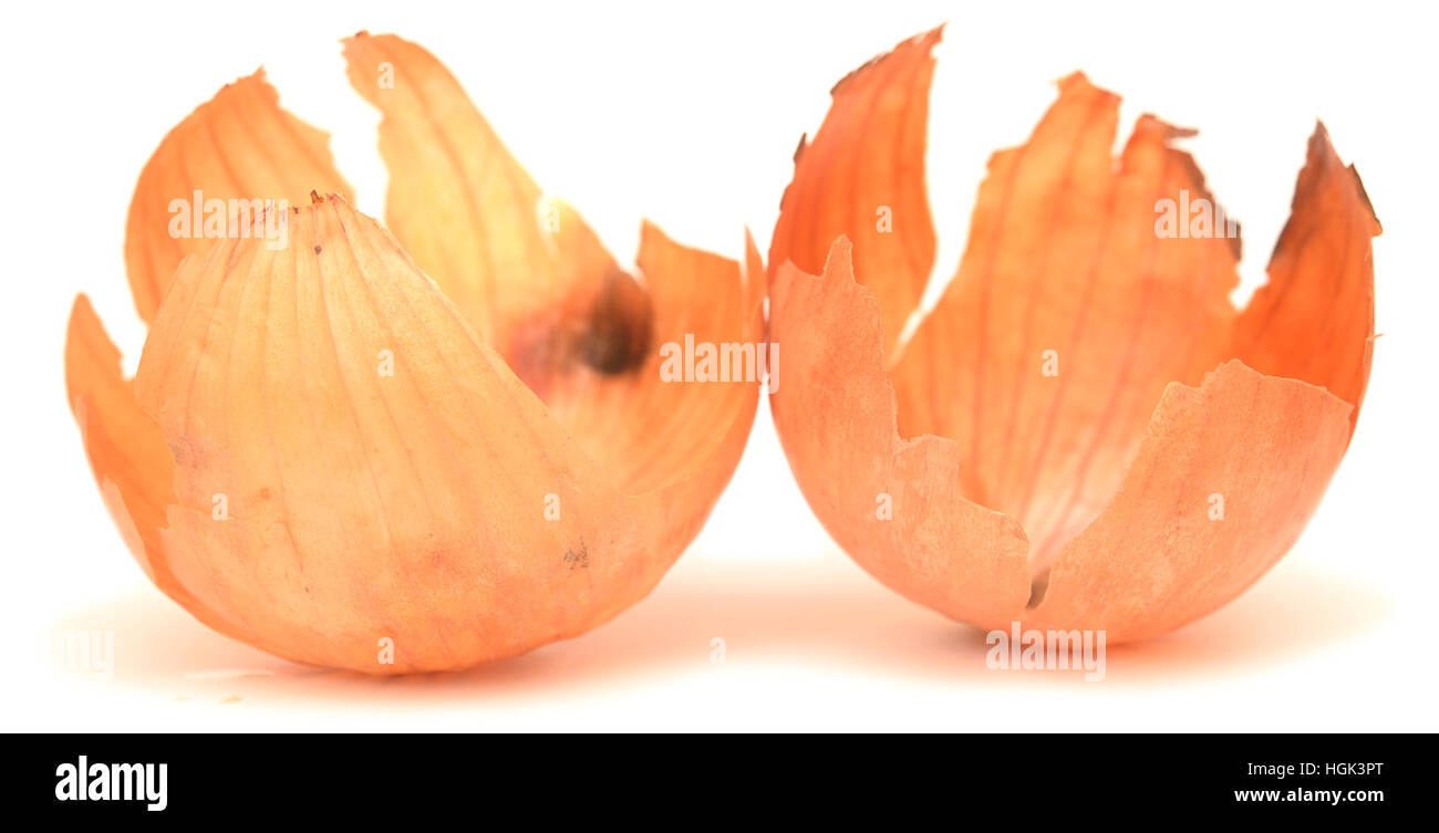 onion isolated on white background Stock Photo - Alamy