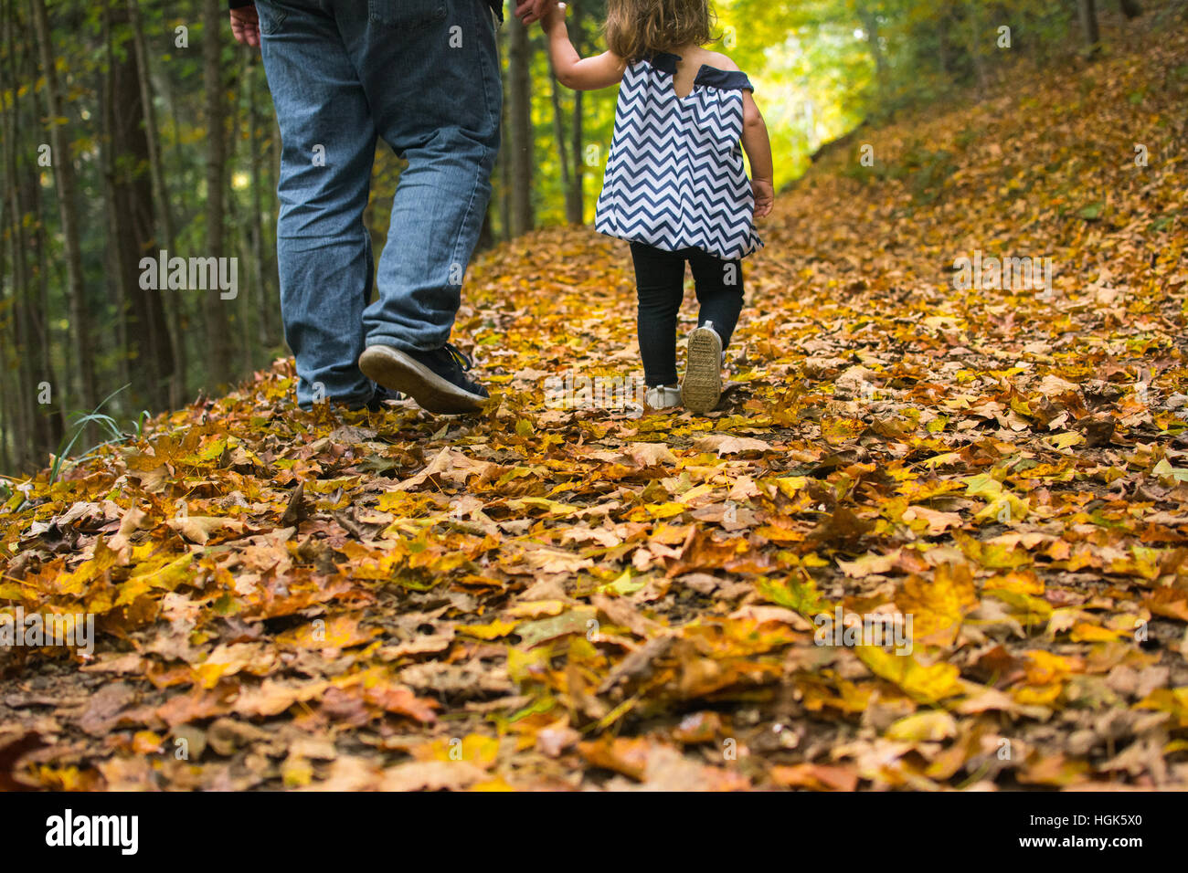 A daughter and father walk in fall leaves. Stock Photo