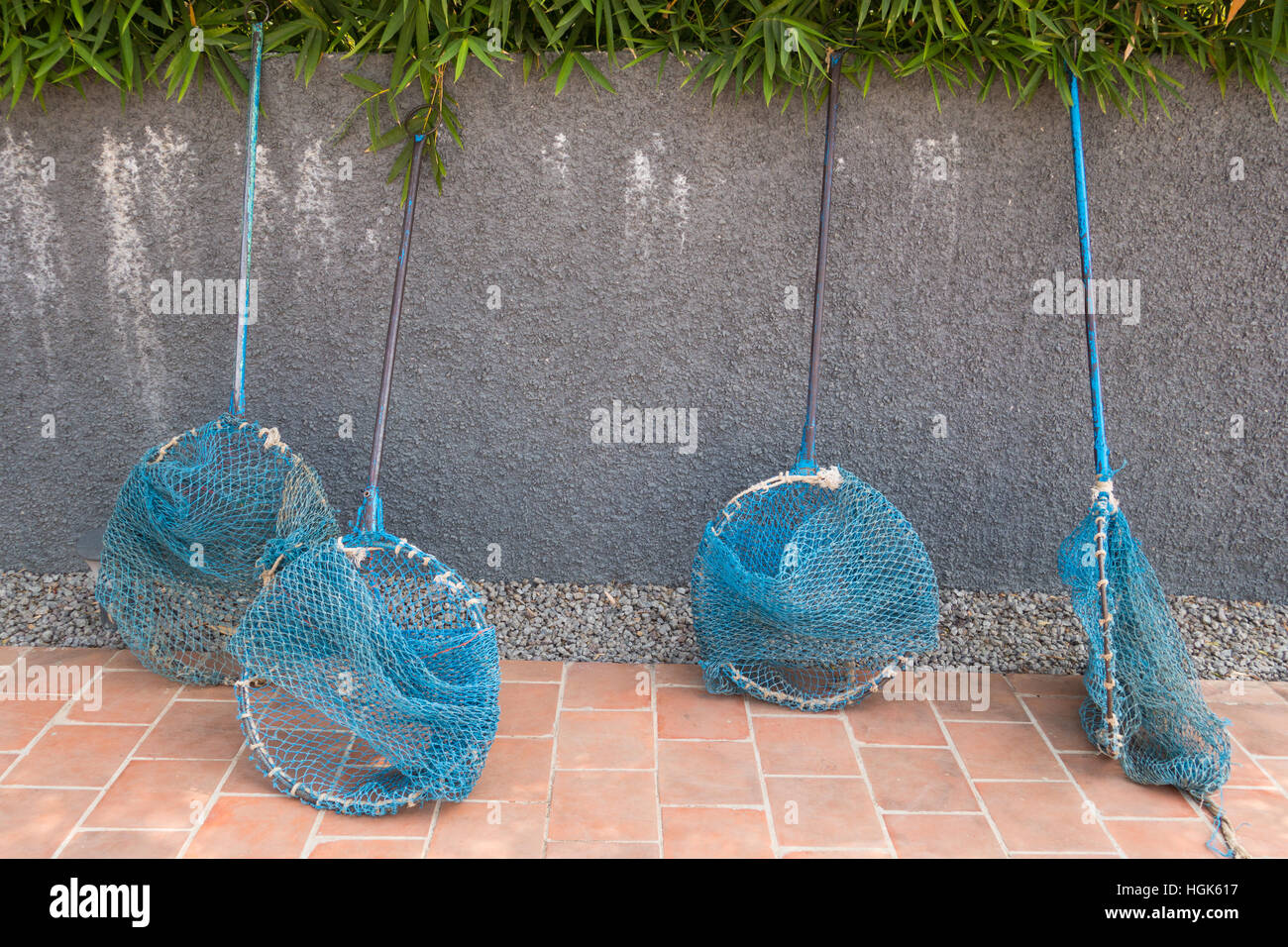 Blue colored stray dog catcher net against a wall Stock Photo