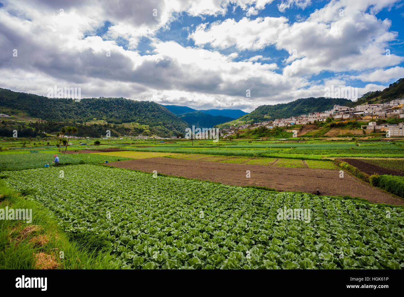 Farmers paradise in Guatemala. Tilling and working this land with a