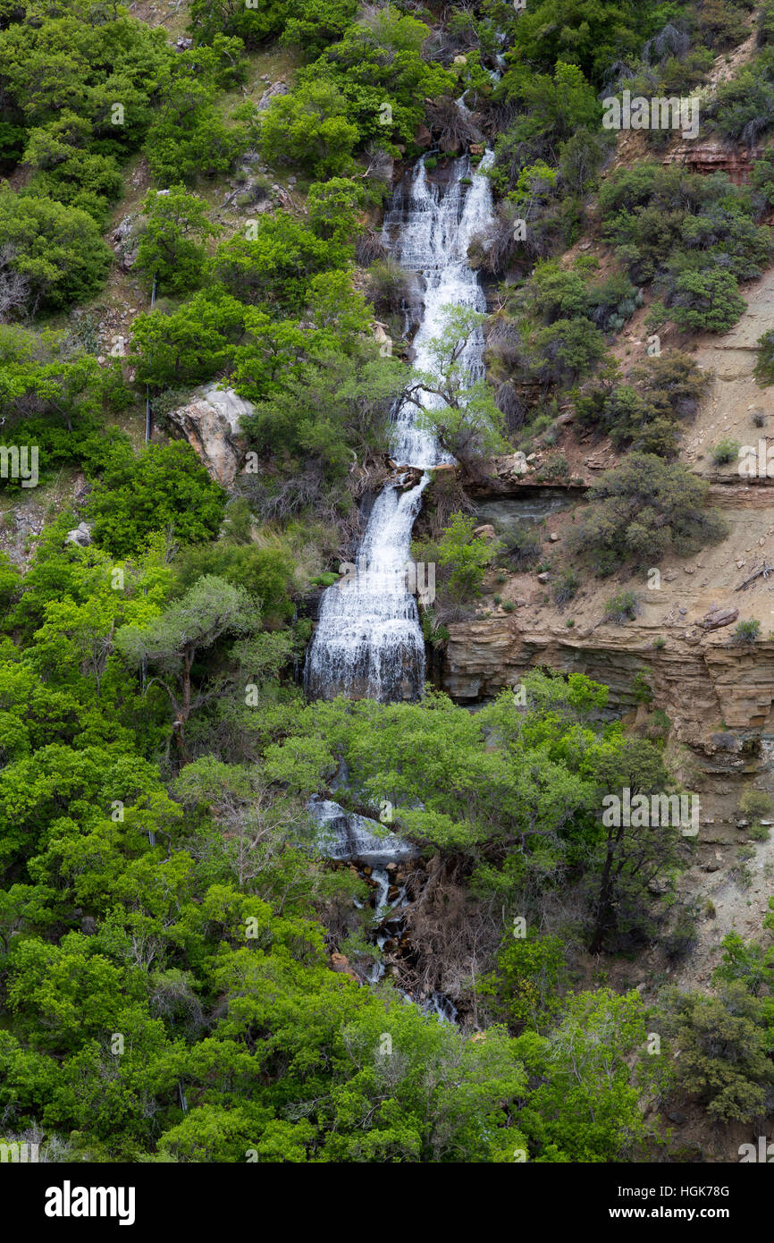 Roaring Springs cascading over the Muav Limestone formation in the