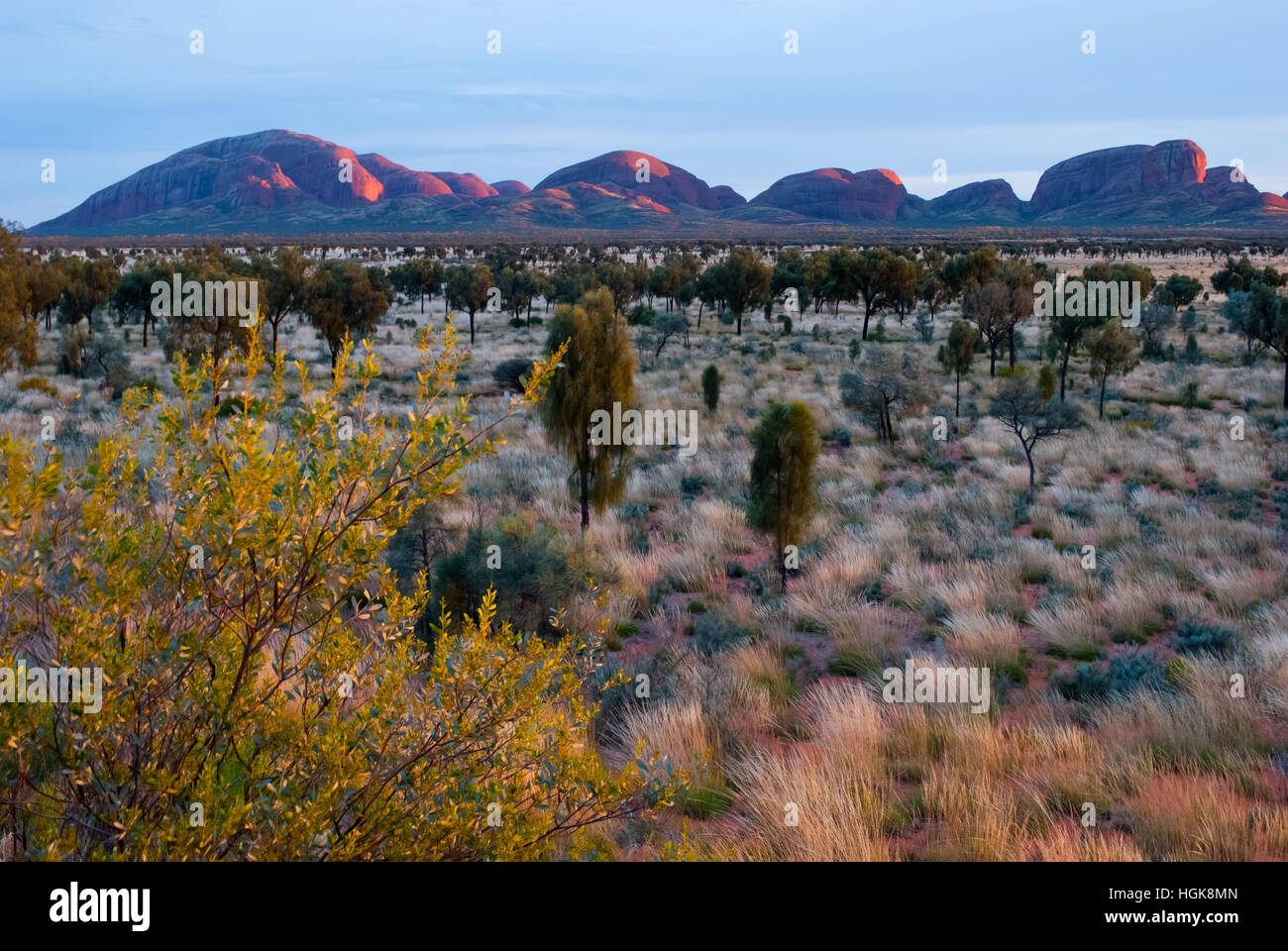 Olgas, Northern Territory, Australia Stock Photo