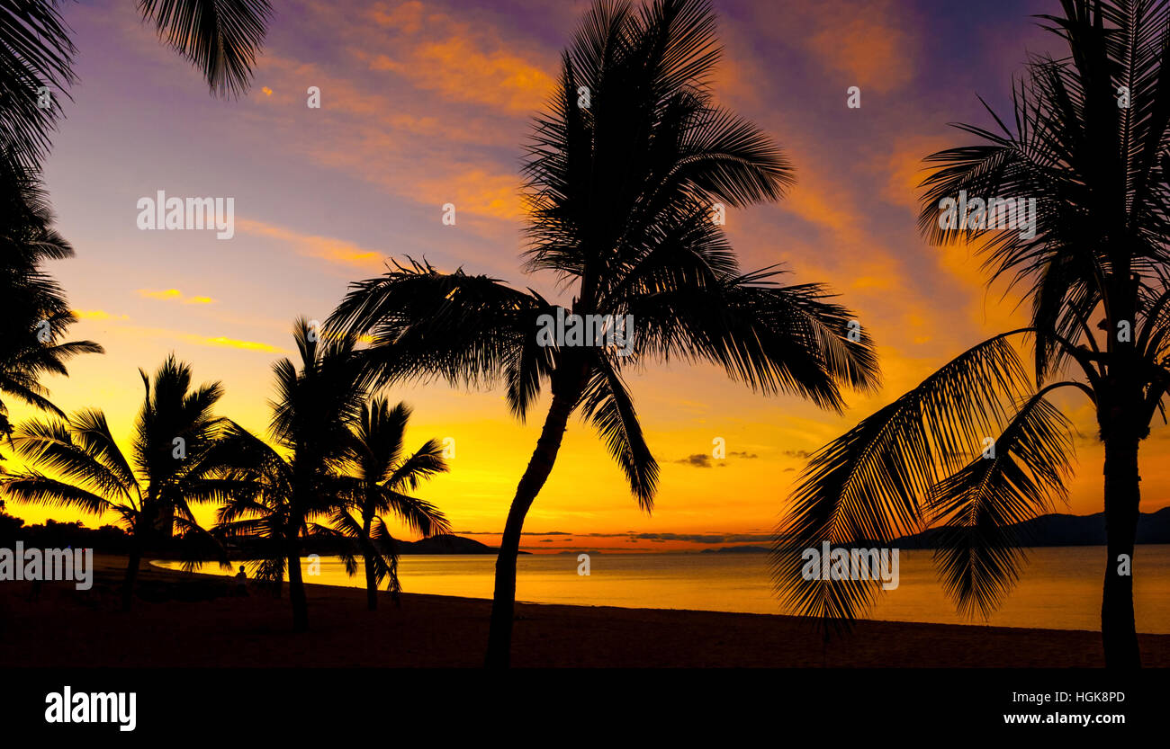 Palms silhouettes on a tropical beach at sunset Stock Photo - Alamy